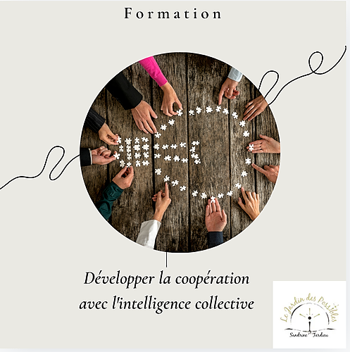 Représentation de la formation : ST. Développer la coopération avec l'intelligence collective