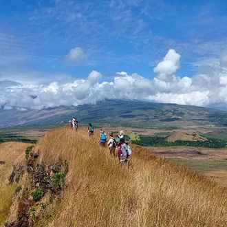 tourhub | Intrepid Travel | Comoros: Wildlife Expedition 