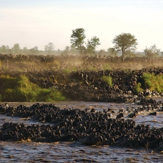 tourhub | Alaitol Safari | Great Migration Grumeti River 