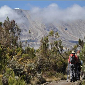 tourhub | World Expeditions | Kilimanjaro - Remote Northern Circuit 