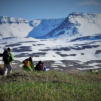 tourhub | Borea Adventures | Hornstrandir Traverse 