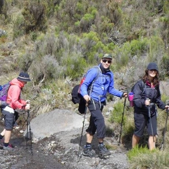 tourhub | Spider Tours And Safaris | 9 Days Kilimanjaro Climb Northern Circuit Route 