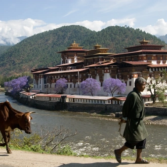 tourhub | Exodus Adventure Travels | Festivals of Bhutan 