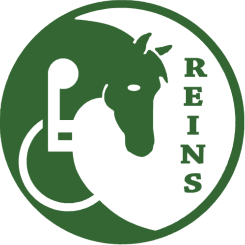 Riding Emphasizing Individual Needs and Strengths logo