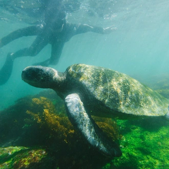 tourhub | Intrepid Travel | Ultimate Galapagos: Central Islands (Grand Daphne) 