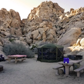 tourhub | Intrepid Travel | Hiking and Camping in Joshua Tree 