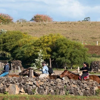 tourhub | Tangol Tours | 4-Day Easter Island Adventure Tour 