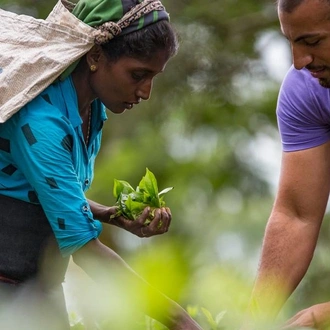 tourhub | G Adventures | Discover Sri Lanka 