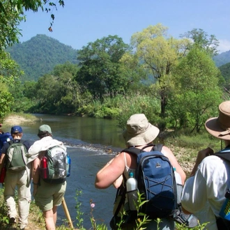 tourhub | All Points East | South Thailand Tour | Mountains and Rainforests 