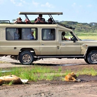 tourhub | Gracepatt Ecotours Kenya | 8 days Spectacular Tanzania Northern Circuit Wildlife Safari Lodge  