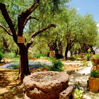 tourhub | Bein Harim | Christian Israel Tour Package, 4 Days from Tel Aviv 