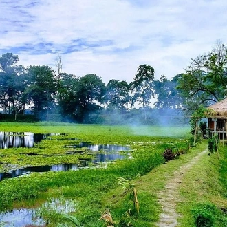 tourhub | Agora Voyages | Assam Tea Estate, Rain Forest & River Island Tour 