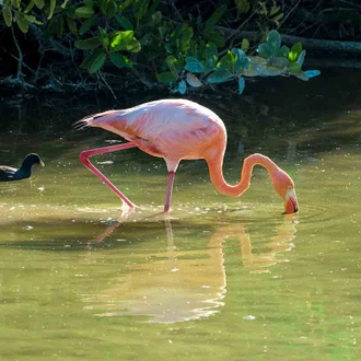 tourhub | Latin Trails | Galapagos Western, Central and Northern Islands Cruise 