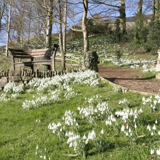 tourhub | Brightwater Holidays | Snowdrops in the Cotswolds 703 