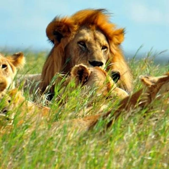 tourhub | On The Go Tours | Kenya Wildlife Week - 7 days 