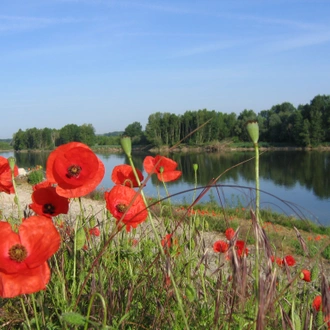 tourhub | Exodus Adventure Travels | Cycling the Chateaux of the Loire - Upgraded 