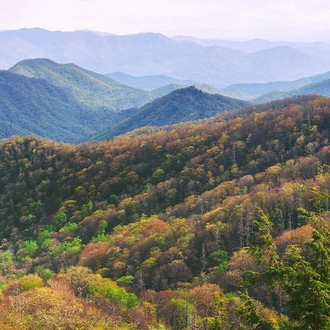 tourhub | Intrepid Travel | Hiking the Best of Great Smoky Mountains National Park		 