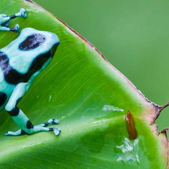 tourhub | Exodus Adventure Travels | Costa Rica's Coastal Secrets 