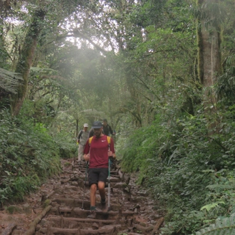 tourhub | Burigi Chato Safaris | 6 DAYS MACHAME ROUTE KILIMANJARO HIKING GROUP JOINING DEPARTURE DATES & COST IN 2023,2024,2025. 