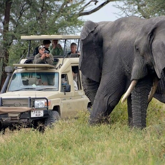 tourhub | Gracepatt Ecotours Kenya | 4 Days Masai Mara Lodge Safari on 4x4 Land Cruiser Jeep (Group Joining) 