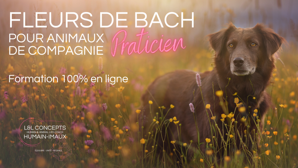 Représentation de la formation : PRATICIEN EN FLEURS DE BACH POUR ANIMAUX DE COMPAGNIE