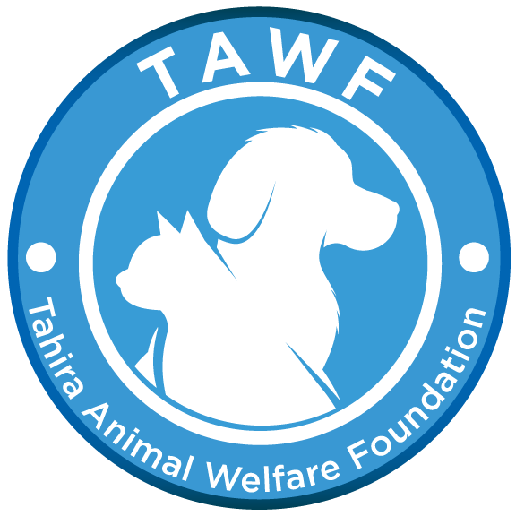 Tahira Animal Welfare Foundation logo