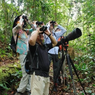 tourhub | World Expeditions | Borneo Adventure 