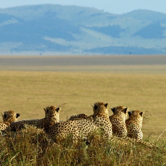 tourhub | Exodus Adventure Travels | Kenya Photographic Safari with Paul Goldstein - Premium Adventure 