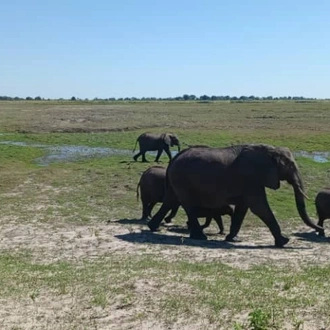 tourhub | Livingstone Lourie Safari | Victoria Falls, Livingstone & Chobe 