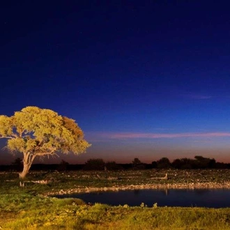 tourhub | Wild Frontiers | Namibia: Sands of Time 