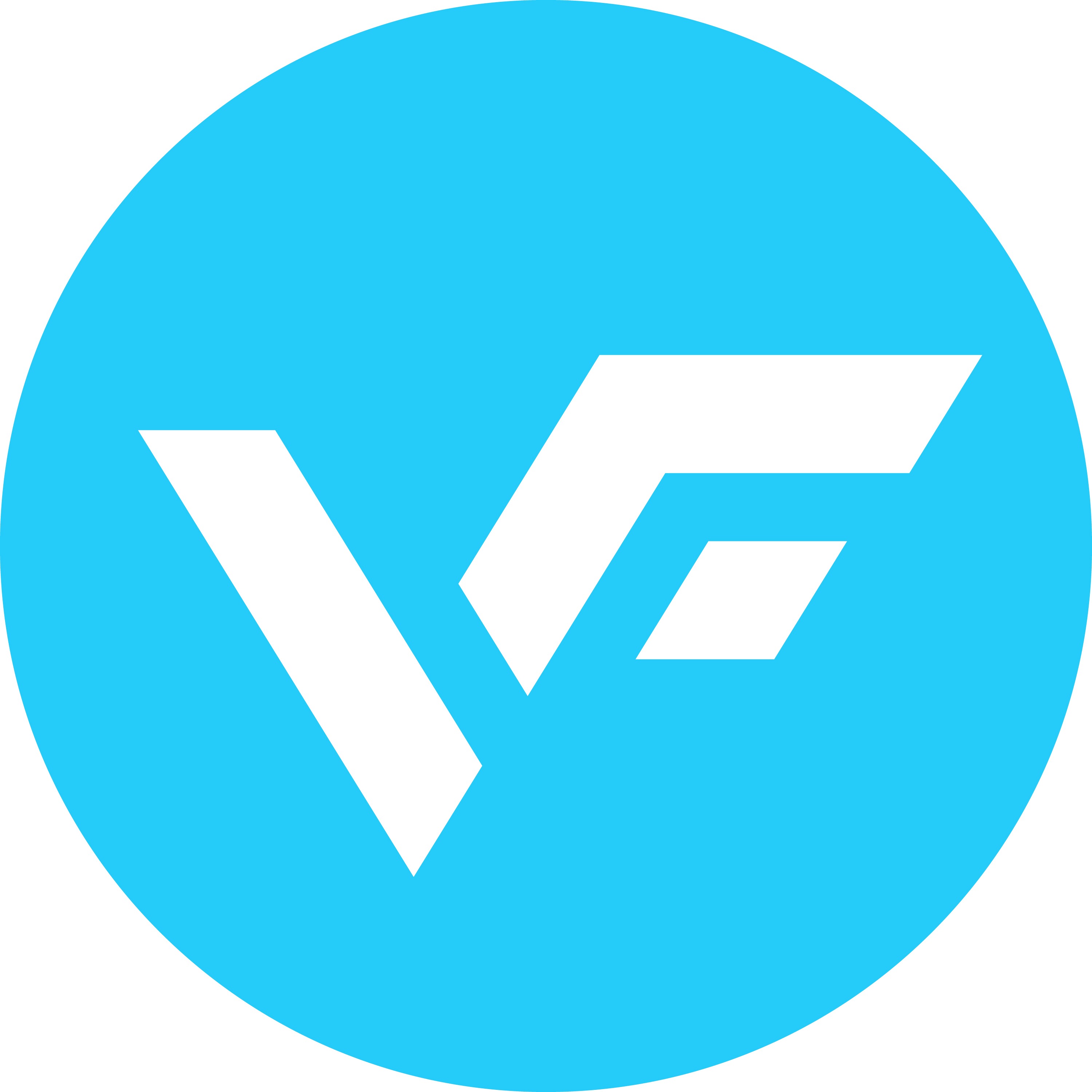 Vibrant Families logo