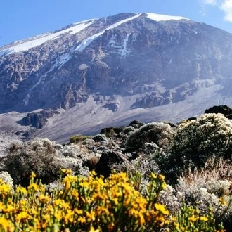 tourhub | Kilisa Tours & Safaris | 6 Days Lemosho Route Mt.Kilimanjaro Climb 