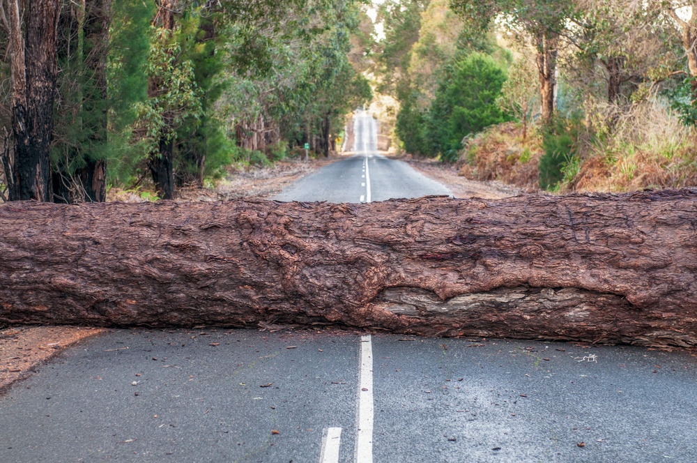log blockig road