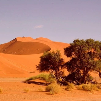 tourhub | Indus Travels | Highlights of Namibia 