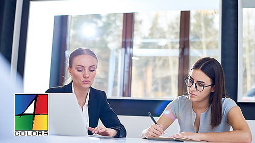 Représentation de la formation : LES FONDAMENTAUX DU COACHING PERSONNALISÉ