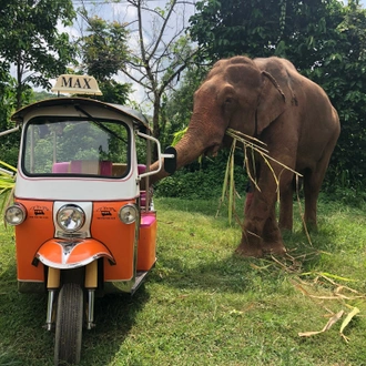 tourhub | The Tuk Tuk Club | A Tuk Tuk Adventure in Chiang Mai, Thailand 