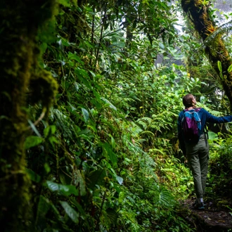 tourhub | Exodus Adventure Travels | Costa Rica's Coastal Secrets 