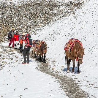 tourhub | Peregrine Treks and Tours | Annapurna Circuit Trek 