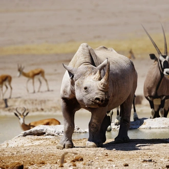 tourhub | Exodus Adventure Travels | Discover Namibia - Camping 