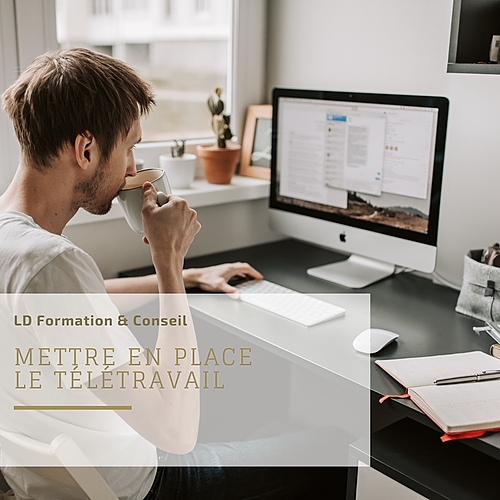 Représentation de la formation : Mettre en place le télétravail