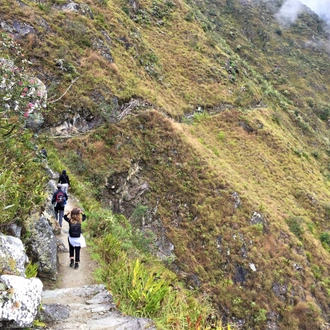 tourhub | TreXperience | Private Short Inca Trail to Machu Picchu 2 days 