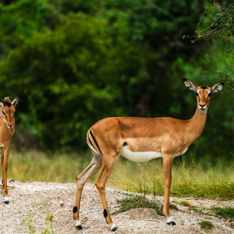 tourhub | Beach and Safari Holidays | Zanzibar and Selous 