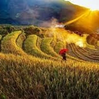 tourhub | Bravo Indochina Tours | 3 Days Sapa Trekking Tour from Hanoi 