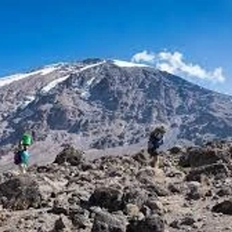 tourhub | Kilimanjaro Habitat Safaris | 8 Days Kilimanjaro Climb Lemosho Route 