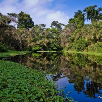 tourhub | Destination Services Costa Rica | Rincon de la Vieja, Short Break 