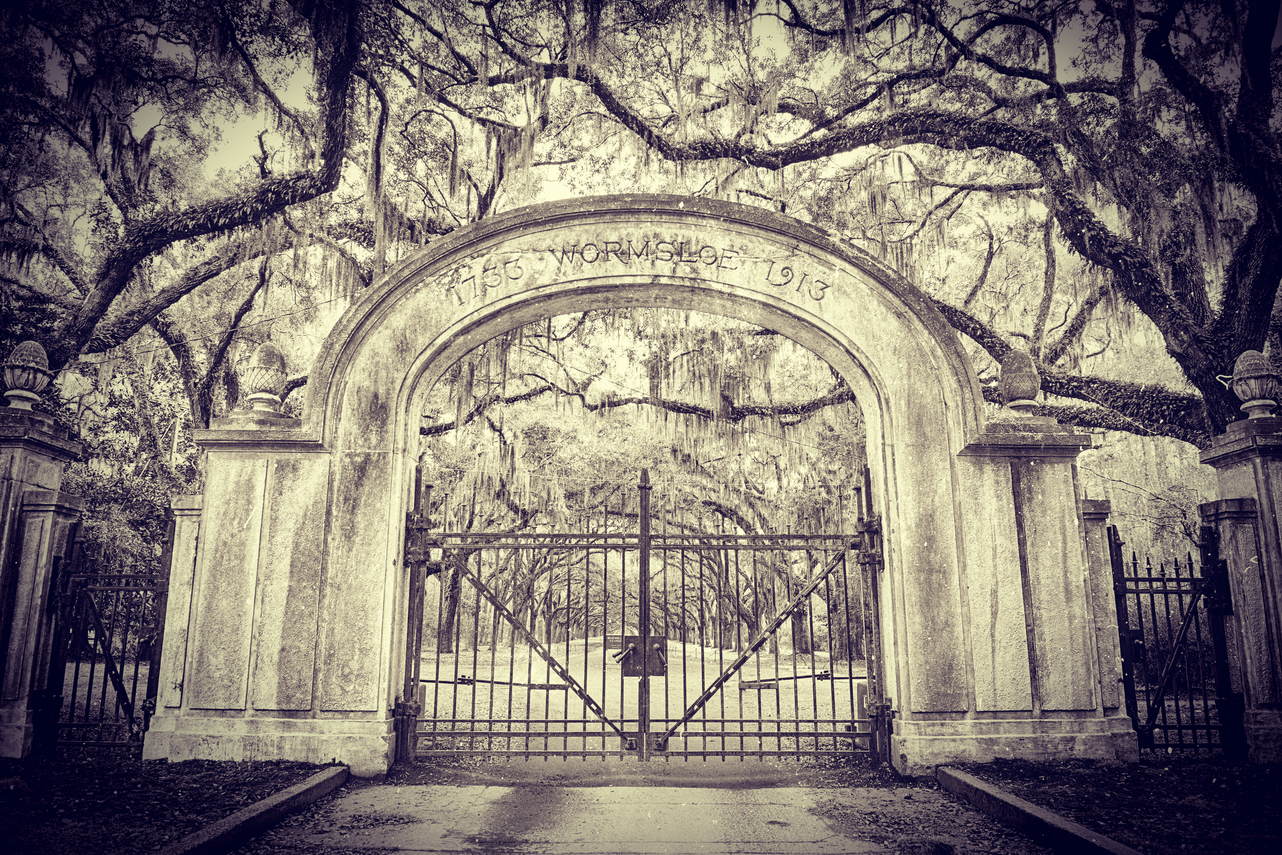 Savannah Psychic Guided Ghost & Cemetery Tour