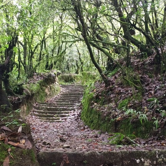 tourhub | Liberty Holidays | Natural Hot Spring Trek from Kathmandu 