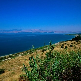 tourhub | Bein Harim | Nazareth & Golan Heights, 2 Days from Jerusalem 