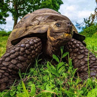 tourhub | Ecuador Galapagos Travels | 7 Days Galapagos Express Adventure 