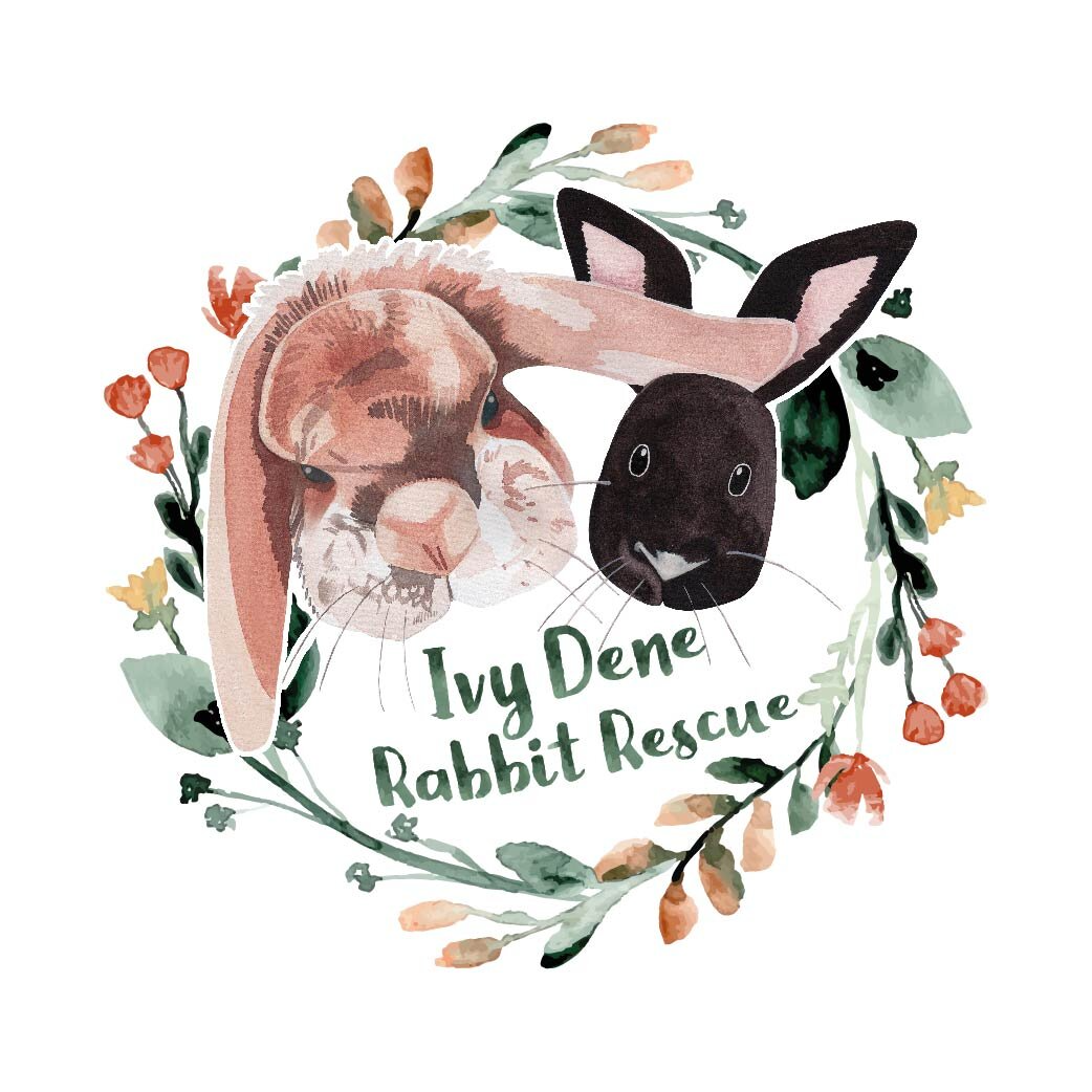 Ivy Dene Rabbit Rescue logo